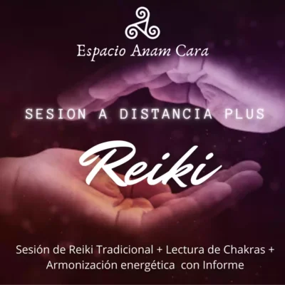 Reiki plus