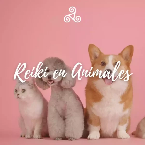 Curso de reiki en animales/mascotas