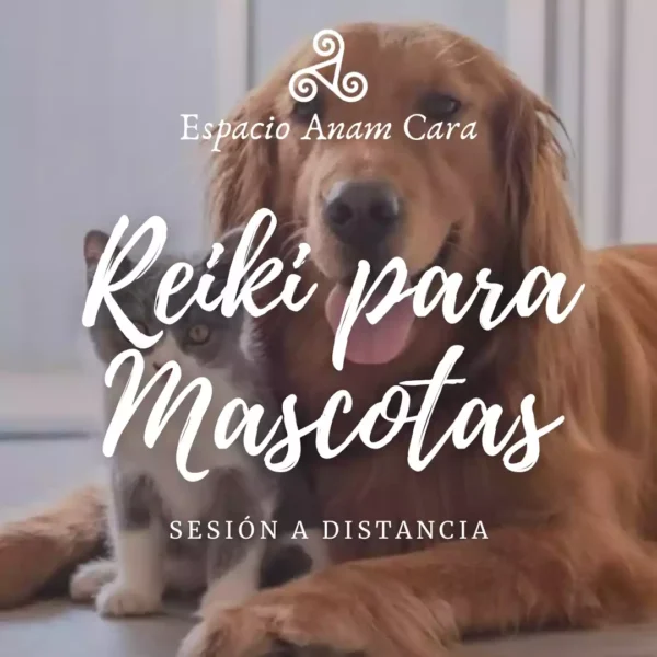 Sesión de Reiki para Mascotas a Distancia Espacio Anam Cara