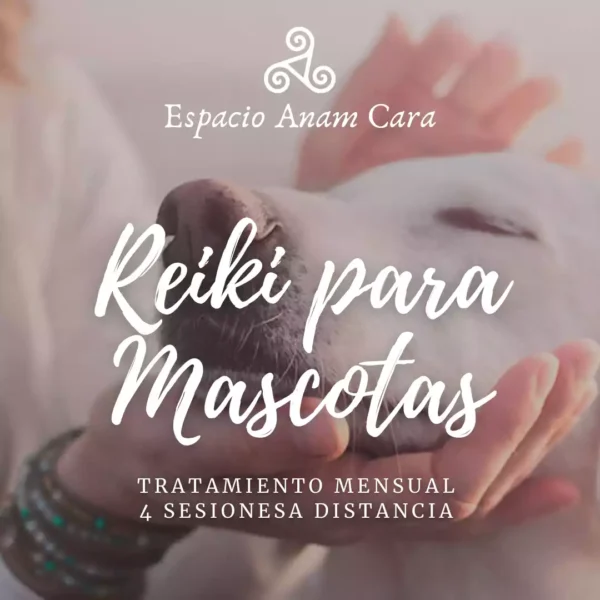 Tratamiento Mensual de Reiki para Mascotas Espacio Anam Cara