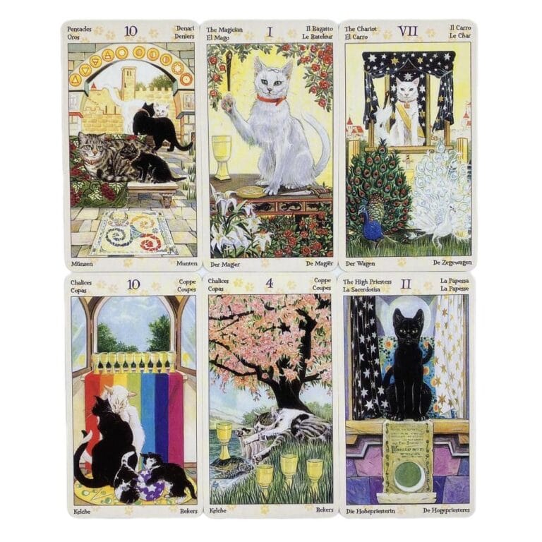 Tarot de los Gatos Paganos PDF - Anam Cara Espacio Holístico Integral